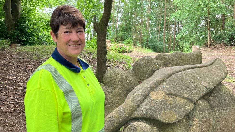 Newcastle Under Lyme Festival Site's 37-Year Tree Story — Newcastle-under-Lyme news photo (BBC Stoke & Staffordshire)